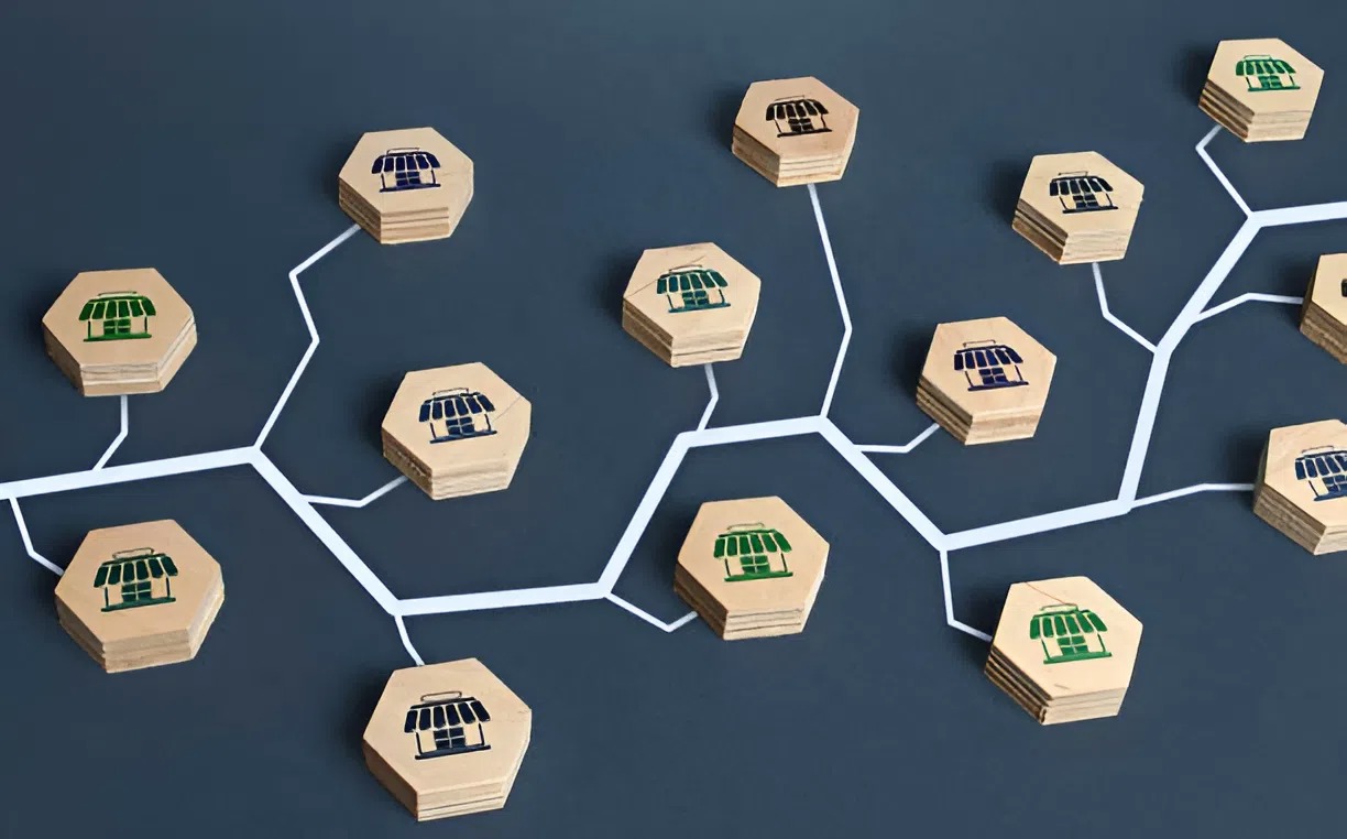 Franchise network structure supporting a painting franchise without experience